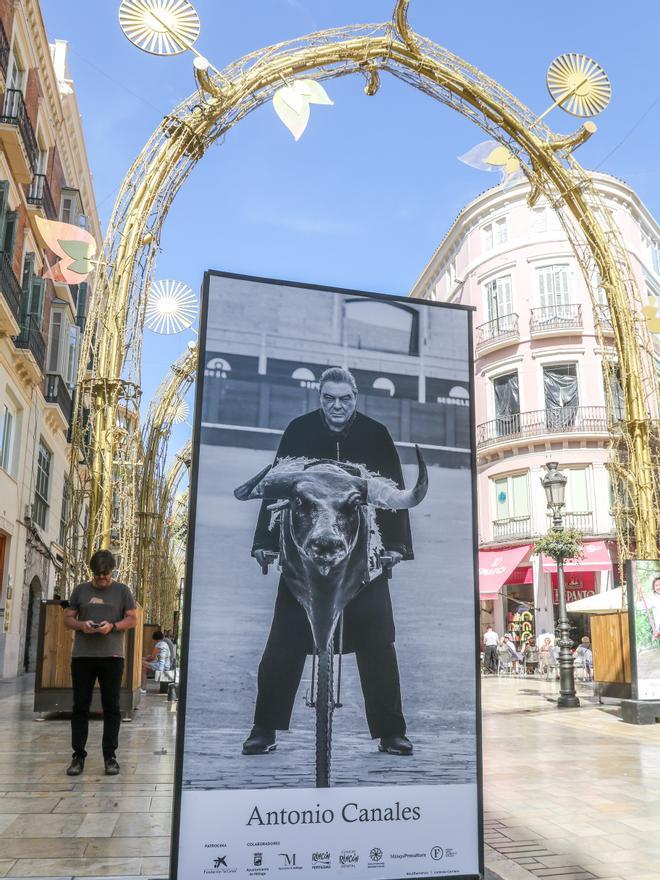 Fotos de la exposición 'Out Flamenco' de la calle Larios