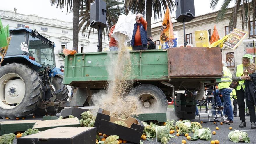 Los agricultores, frente a la Delegación del Gobierno: "El sector agrario valenciano le declara la guerra a Mercosur"