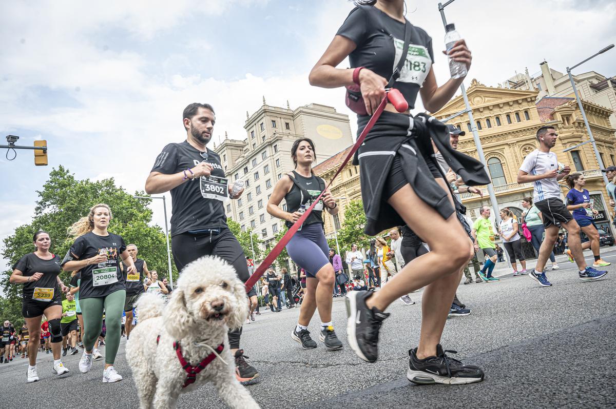 Cursa El Corte Inglés: ¡búscate en las fotos!