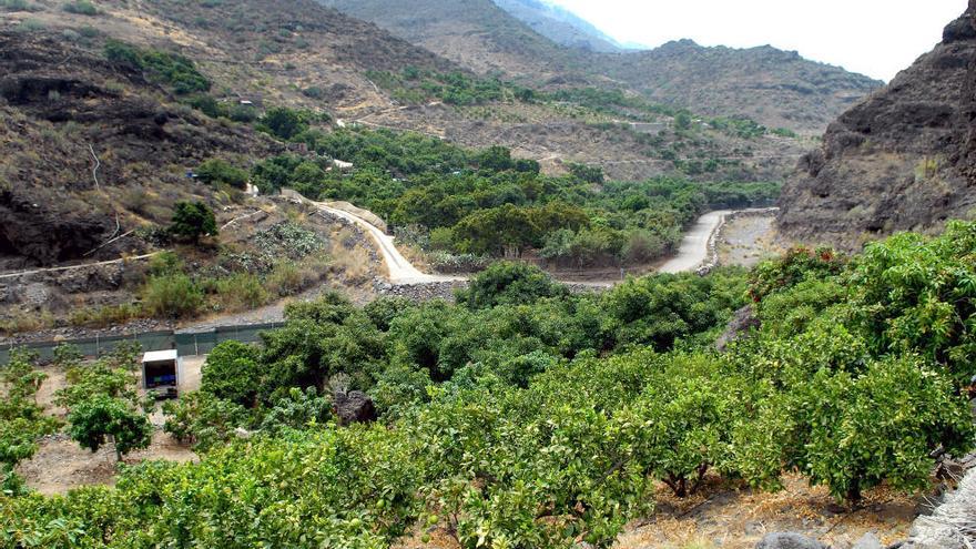 Los agricultores de Veneguera, preocupados por la falta de luz