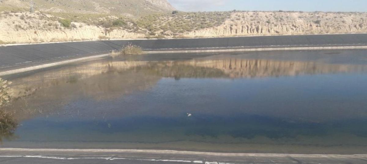 La Policía Nacional investiga el hallazgo de un cazador ahogado en una balsa de Alicante