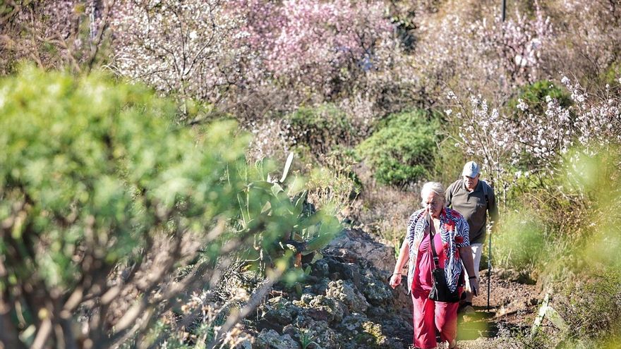 A new application informs about 173 hiking routes in Tenerife