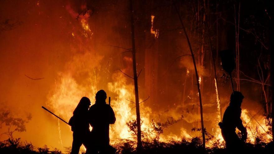 Incendios en Galicia | Un fuego calcina tres hectáreas en Marín