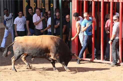 Toros, encierro infantil y diversión en Almassora