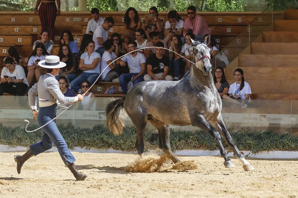 Cabalcor echa a andar con el concurso morfológico