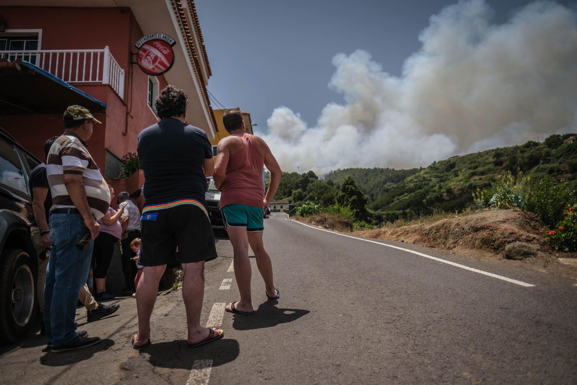 El incendio forestal de Tenerife, en imágenes