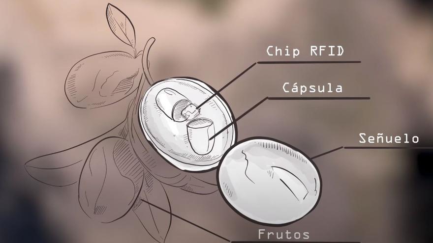 Así es el chip RFID