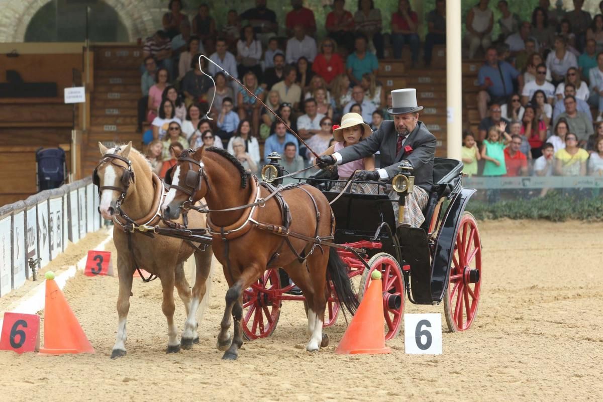 Concurso de atalaje de tradición en Cabalcor