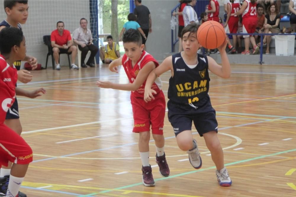 Día del Minibasket en San Javier