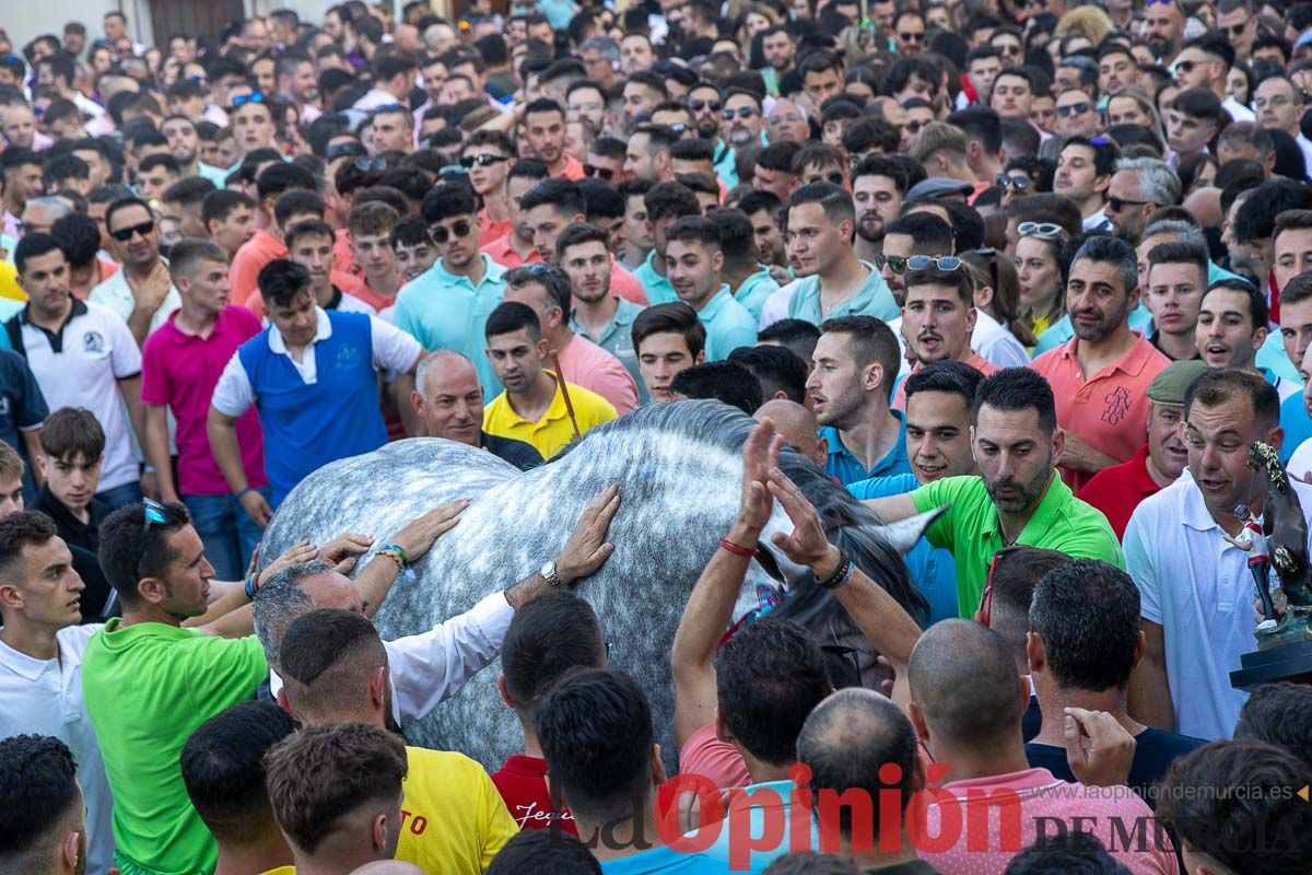 Entrega de premios del concurso morfológico de los Caballos del Vino de Caravaca