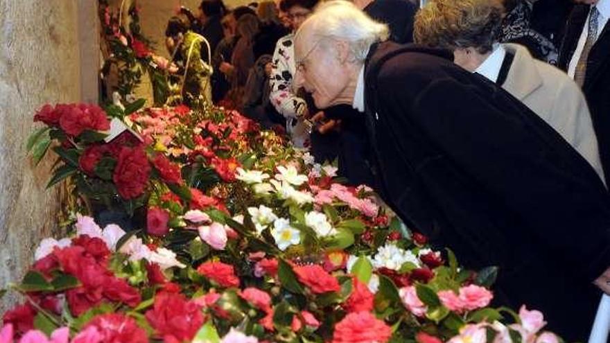 Exposición de la camelia celebrada en el Museo el pasado día 3.// R.V.