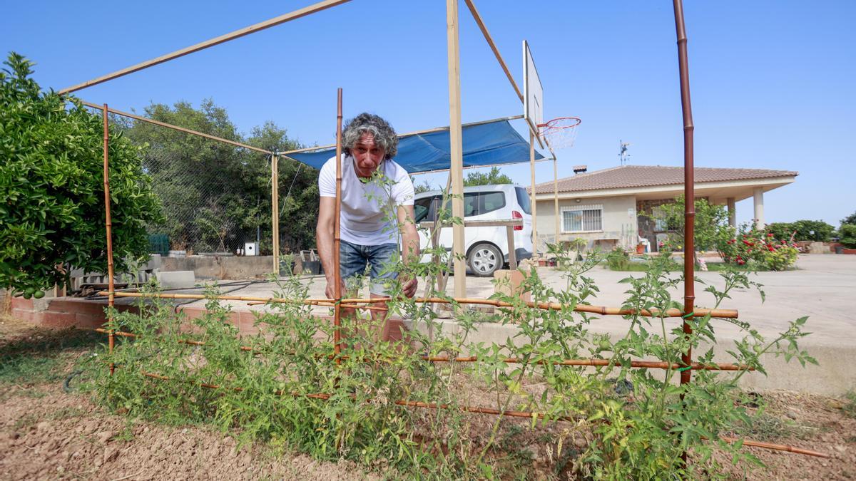 Vicente Tomas es un vecino de Riba-Roja al que van a derribar su casa por incompatibilidades urbanísticas