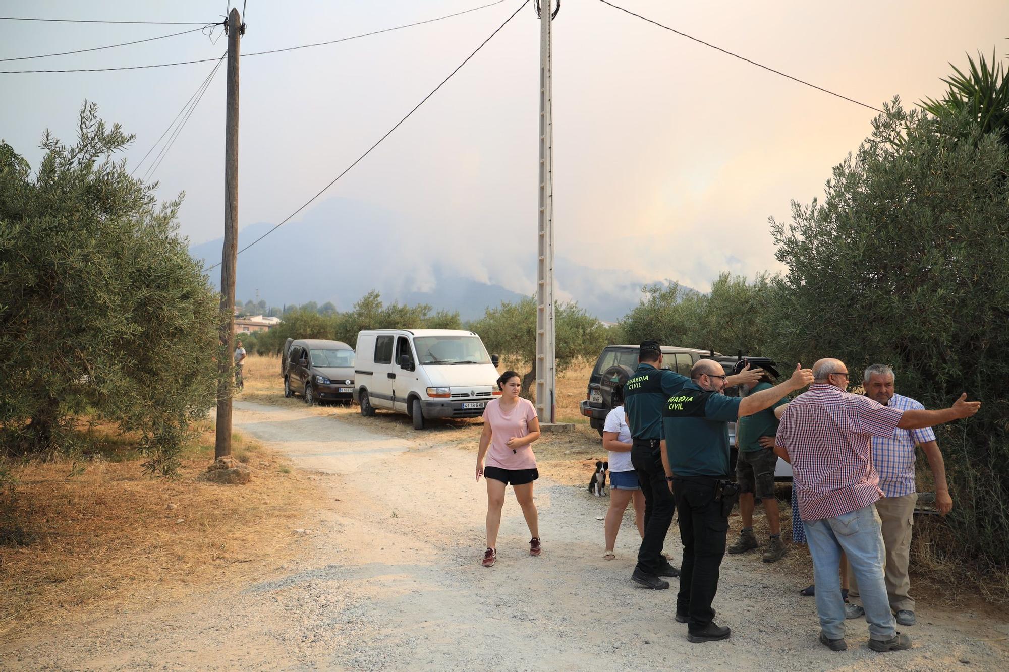 Declarado un incendio en la Sierra de Mijas