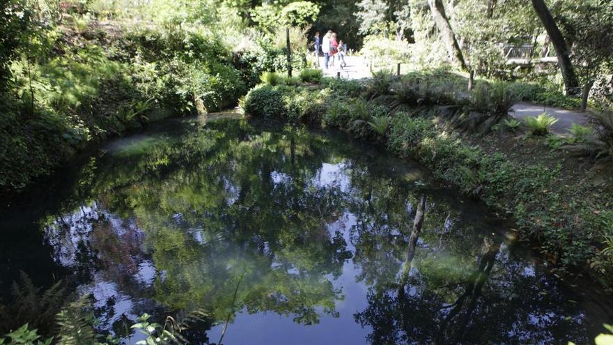 Uno de los rincones del Jardín Botánico Atlántico de Gijón.