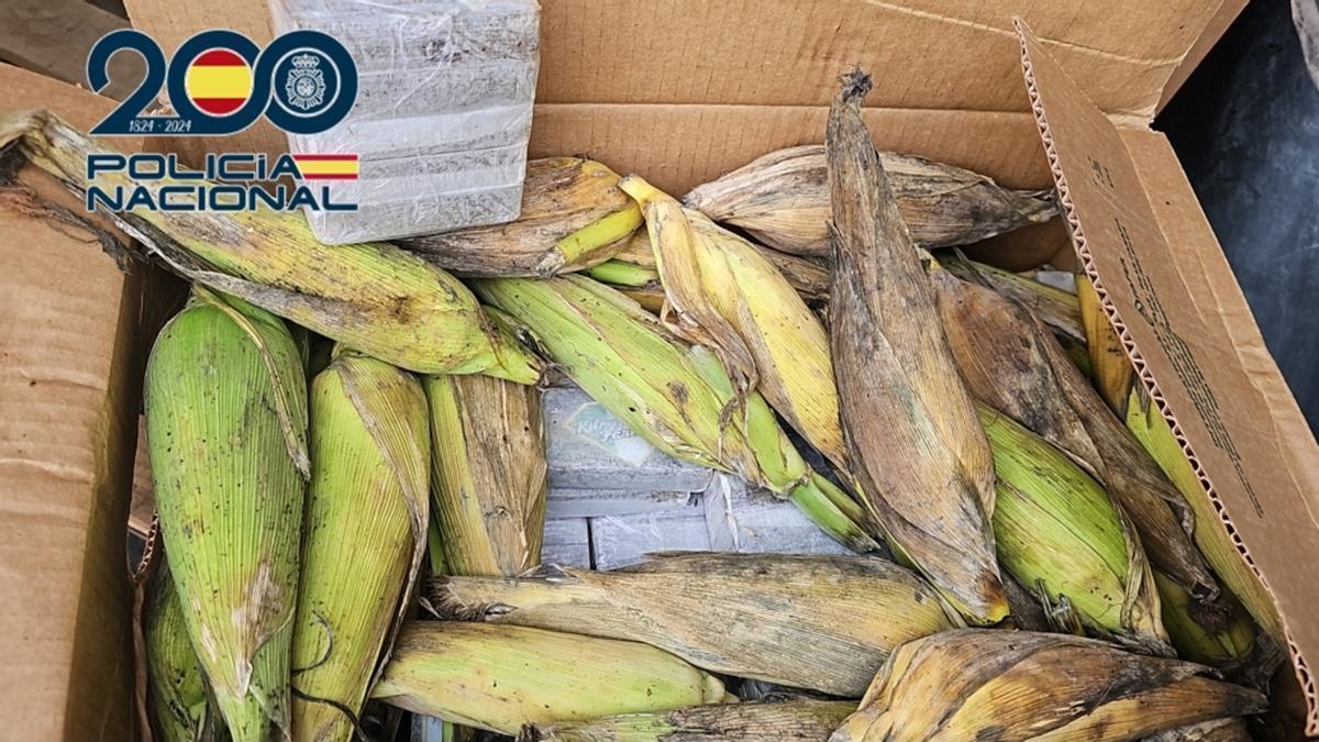 La Policía Nacional interviene 350 kilos de droga en la 'Operación Millo' en Canarias