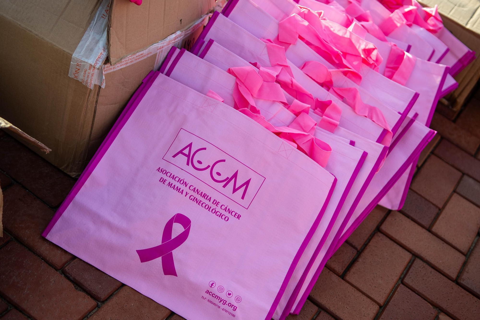 X Caminata Grand Pink Run