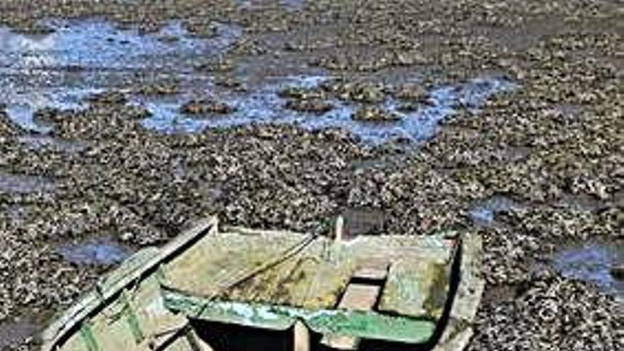 Una embarcación, en la ría de O Burgo.