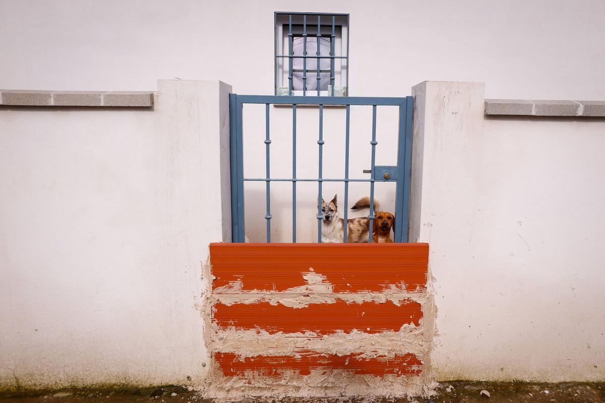 Zonas inundables se preparan para posibles inundaciones con la Borrasca Leonardo, Alcolea, Guadalvalle, parcelas aeropuerto, Majaneque