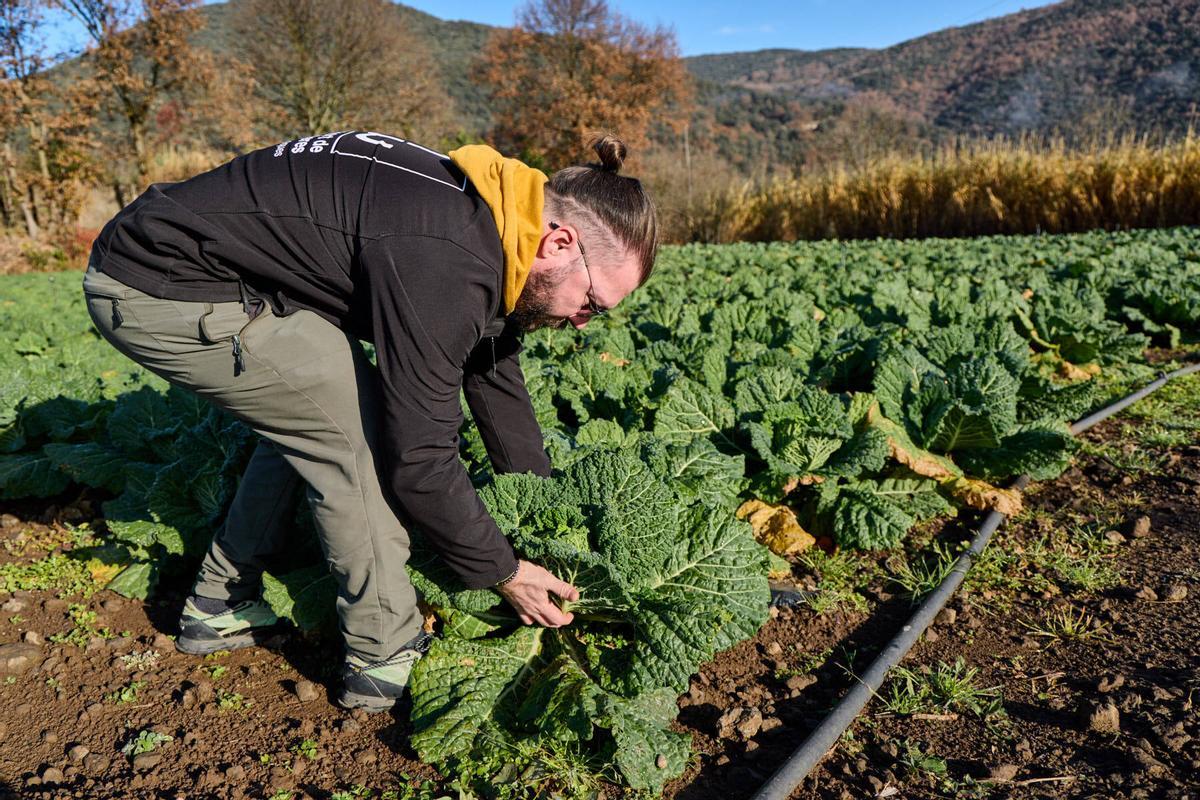 Aleix en un dels camps de conreig del terreny familiar.