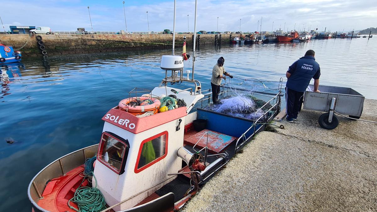 La preparación de miños en el puerto, ayer.