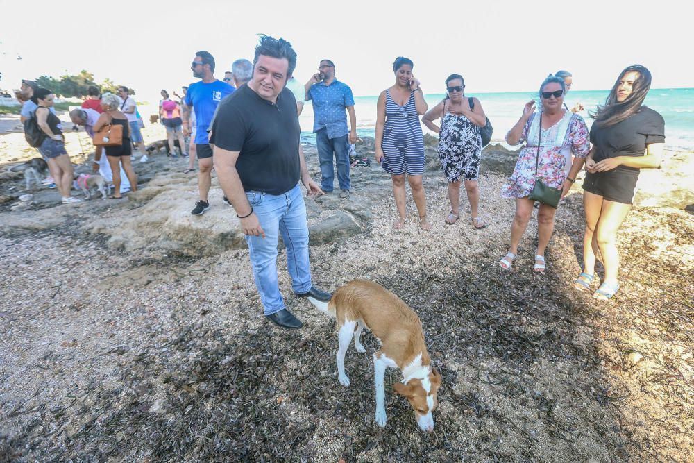 Docenas de usuarios de las playas acompañados de sus perros acudieron a Punta Margallo a pedir respeto y civismo en estos tramos litorales tras los "actos de sabotaje" de las señalizaciones