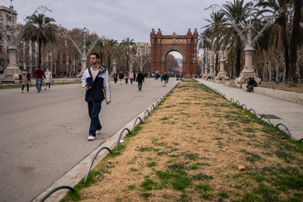 La sequía afecta los espacios verdes de la ciudad. En el Arco del Triunfo, Barcelona.