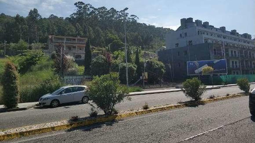 Árboles próximos a viviendas en la Avenida de Sabarís.