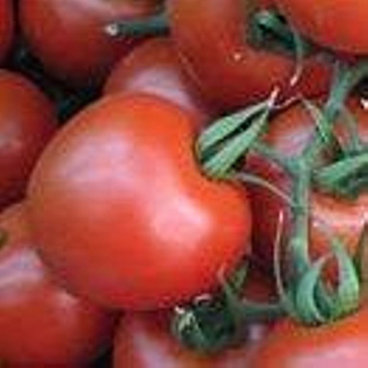 Los mejores trucos de cocina