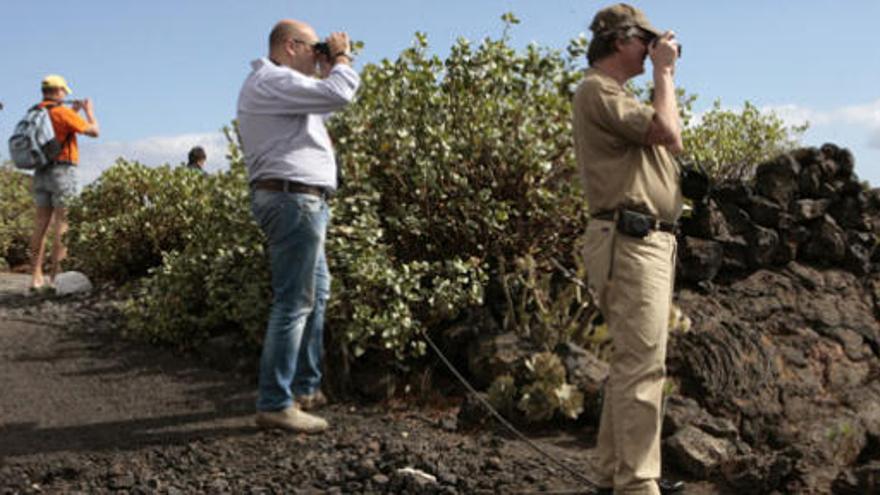 El Hierro registra quince sismos durante la noche