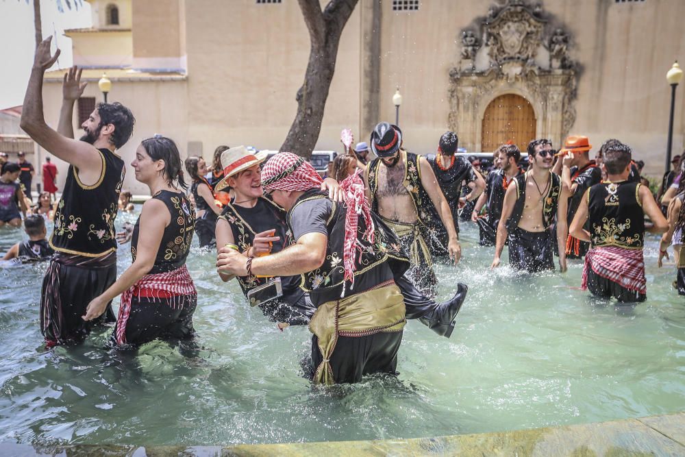 El día del Pájaro en Orihuela