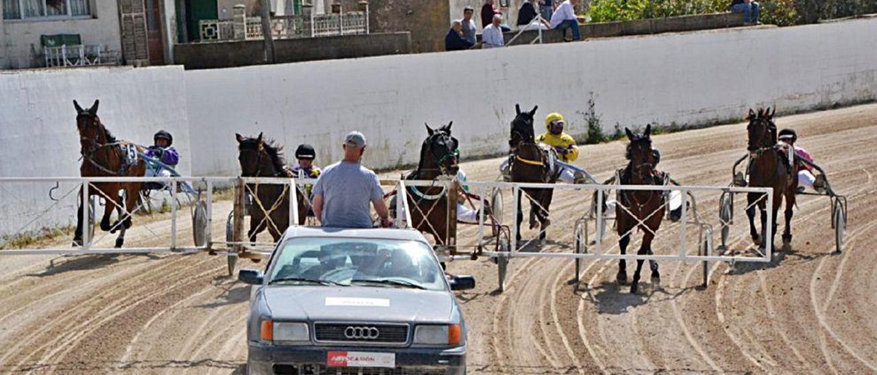 Salida lanzada de una carrera de caballos disputada en el Hipòdrom de Manacor.