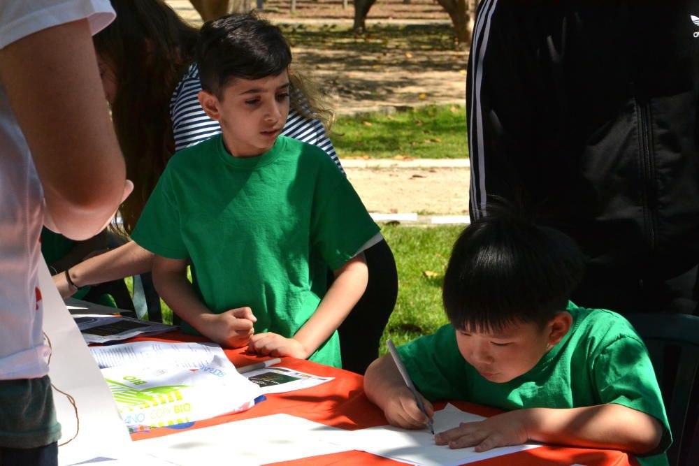 Som Llevant llena el parque de actividades