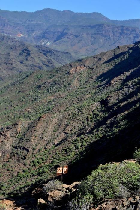 VENEGUERA BARRANCO MOGÁN TABAIBALES CARRETERA ...