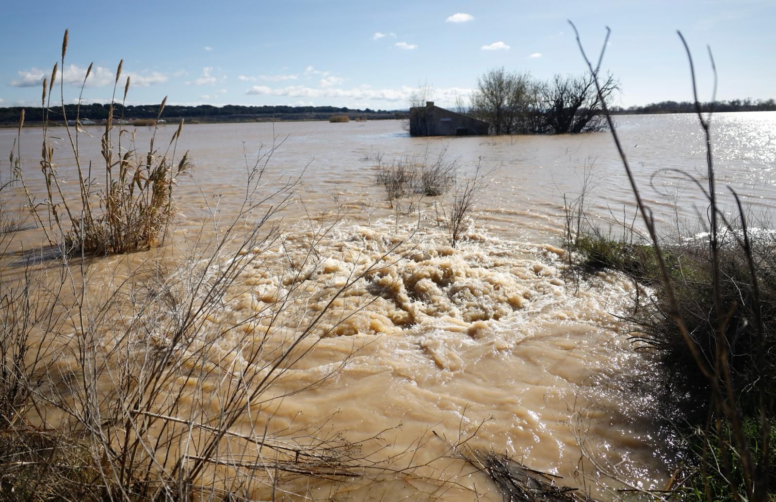 En imágenes | Así transcurre la crecida del Ebro a su paso por Aragón