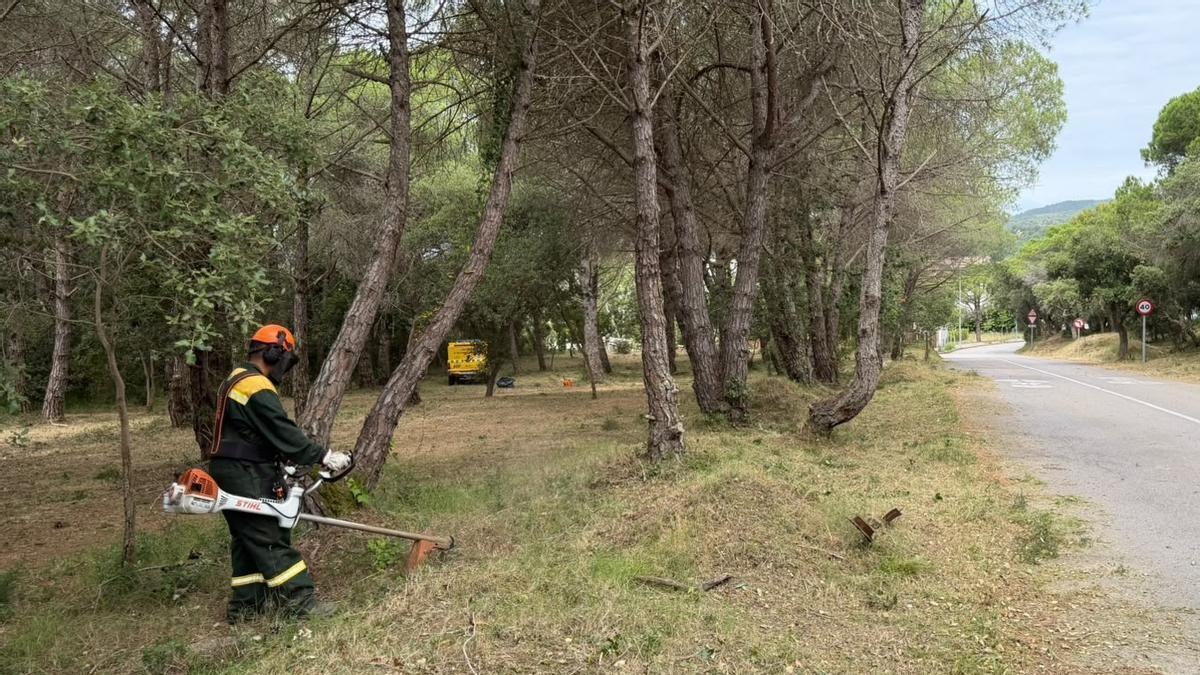 Tasques de prevenció forestal a Palamós.
