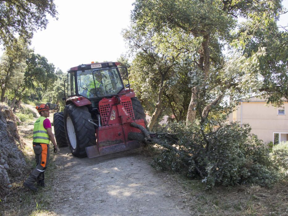 Treballs obertura franja forestal La Jonquera