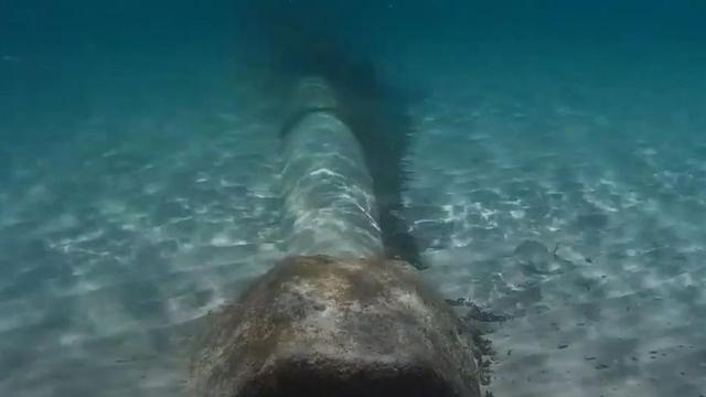 Imagen de una fuga captada en el emisario de Playa den Bossa en 2020. | AMICS DE LA TERRA