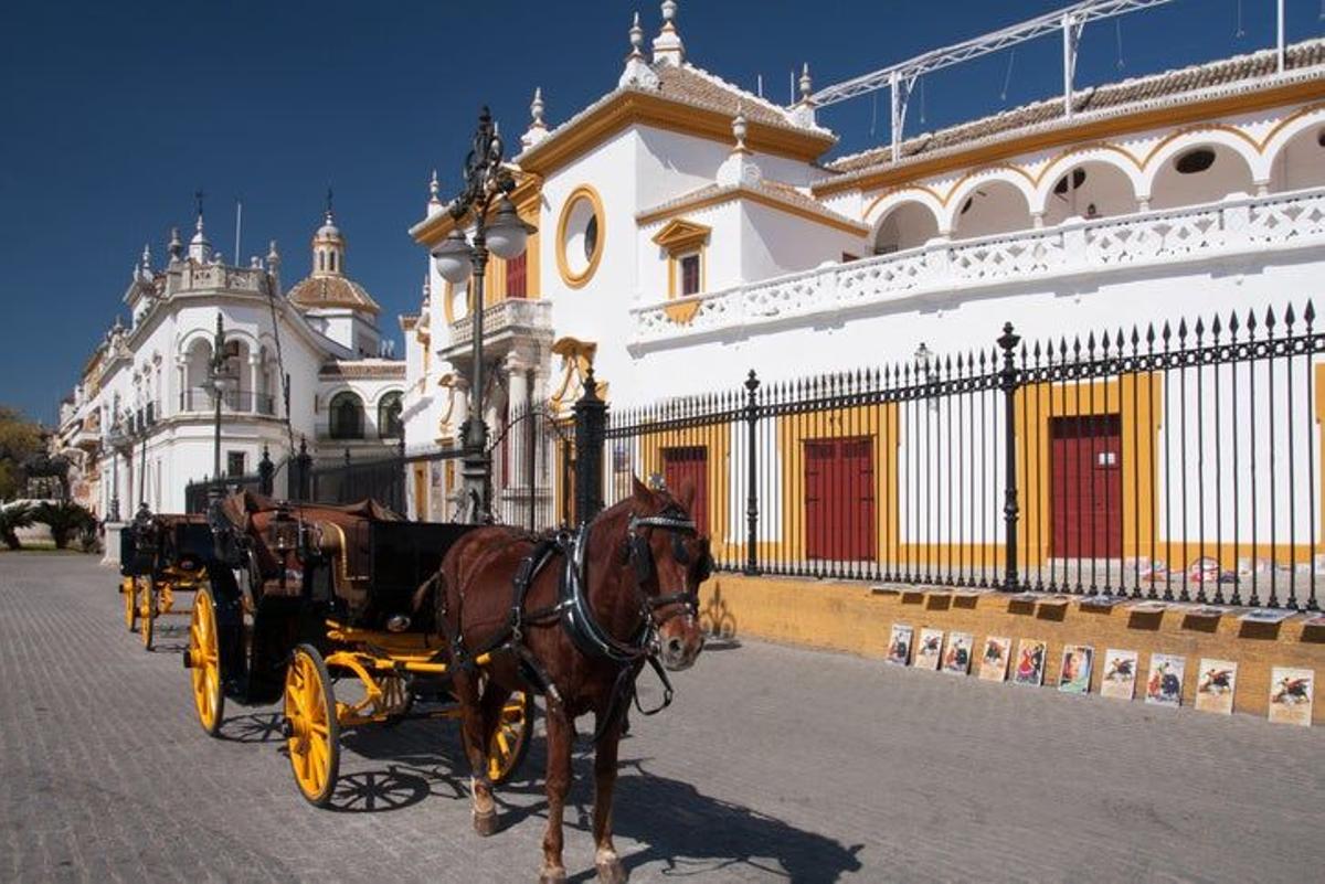 Una tarde en La Maestranza