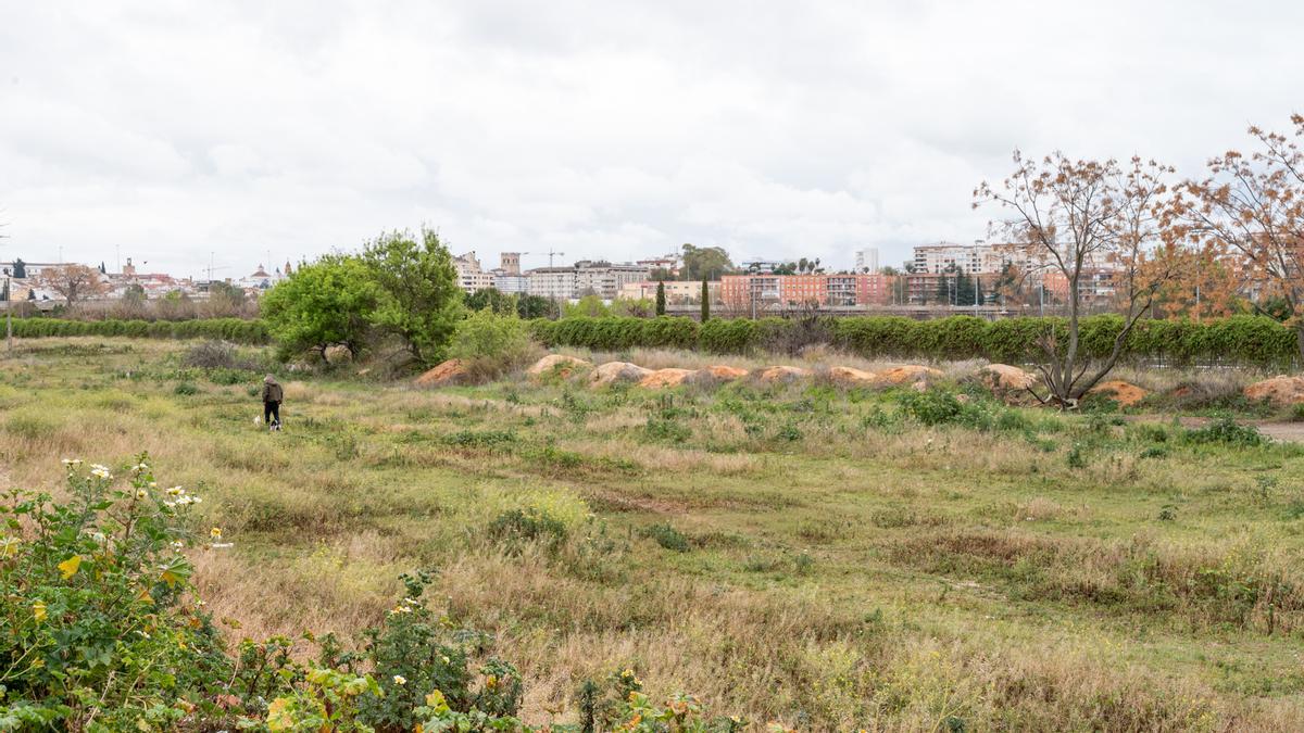 Terrenos donde se habilitarán los nuevos huertos urbanos de Las Moreras.