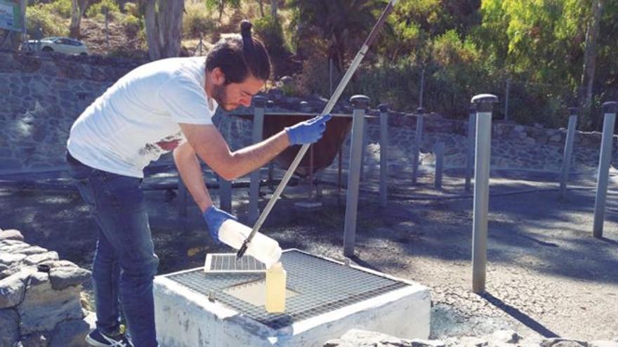 Investigador de la ULPGC durante la recogida de muestras.