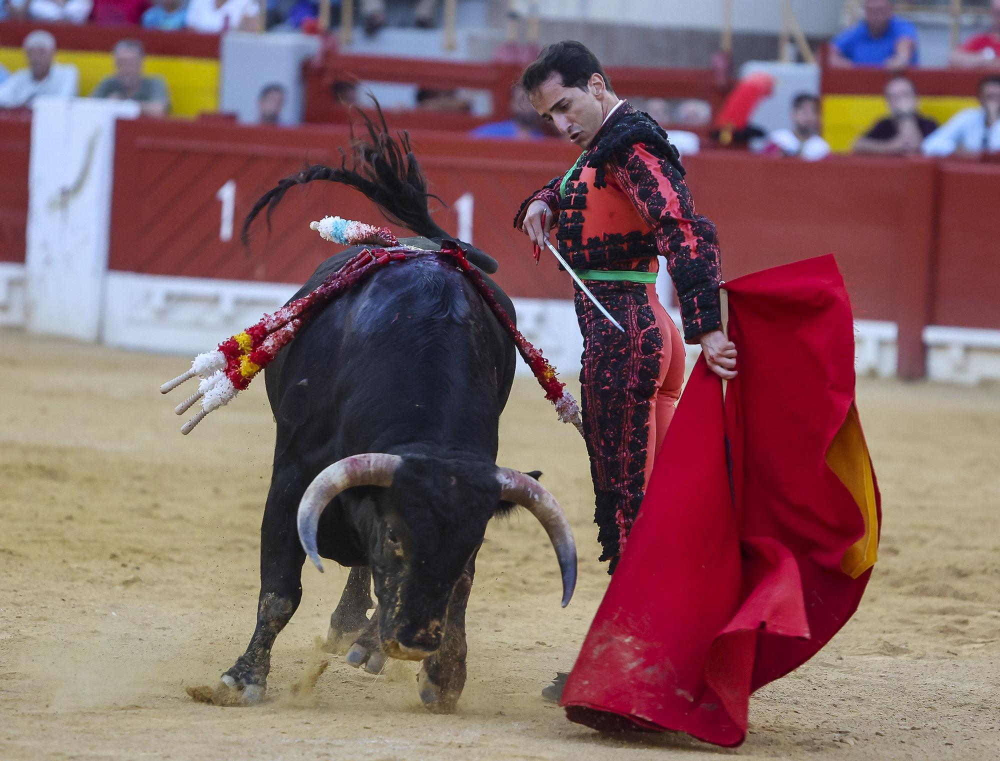 Novillada de Zacarías Moreno para cerrar la Feria de Hogueras