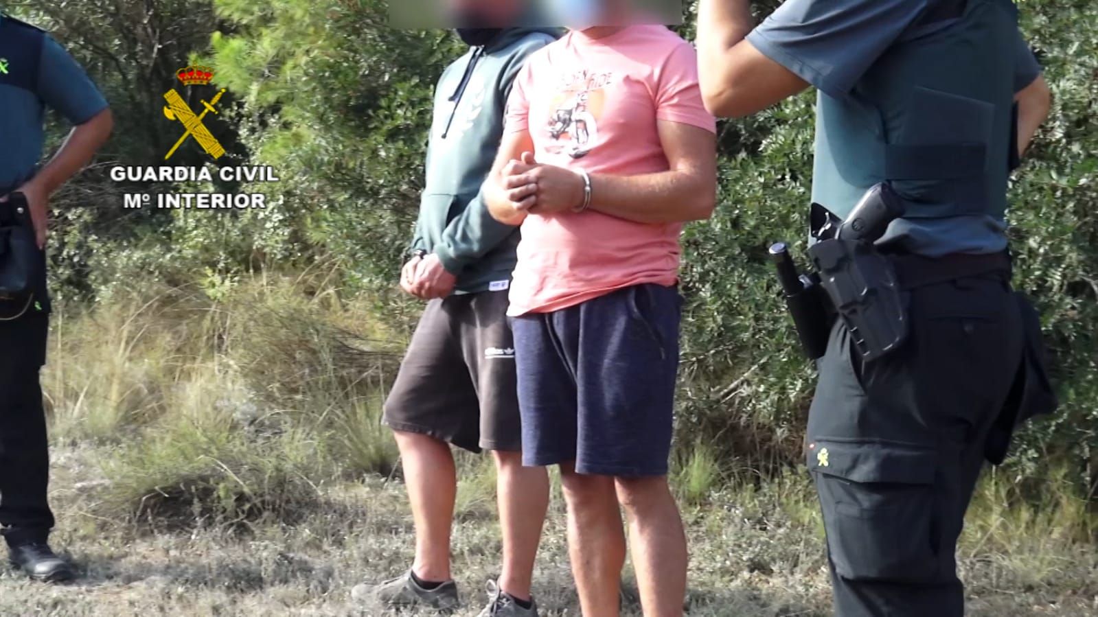 FOTOGALERÍA | Desmantelada una plantación de marihuana en Mequinenza