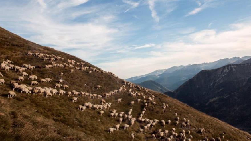 Imágenes que refrescan el mundo rural