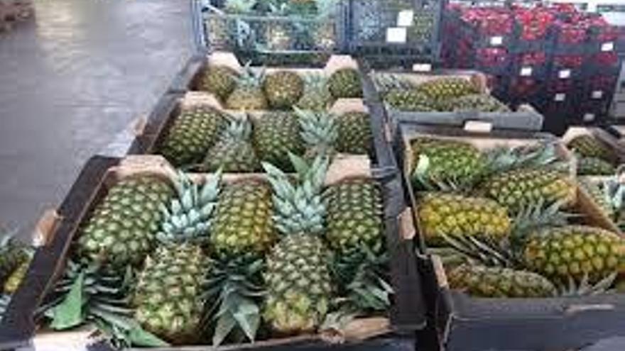 Cajas con piña tropical.