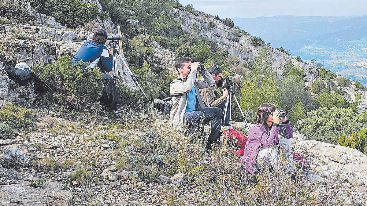 Participants en les primeres jornades ‘Les Ales de la Tinença’ fent observació de les aus en el seu entorn.