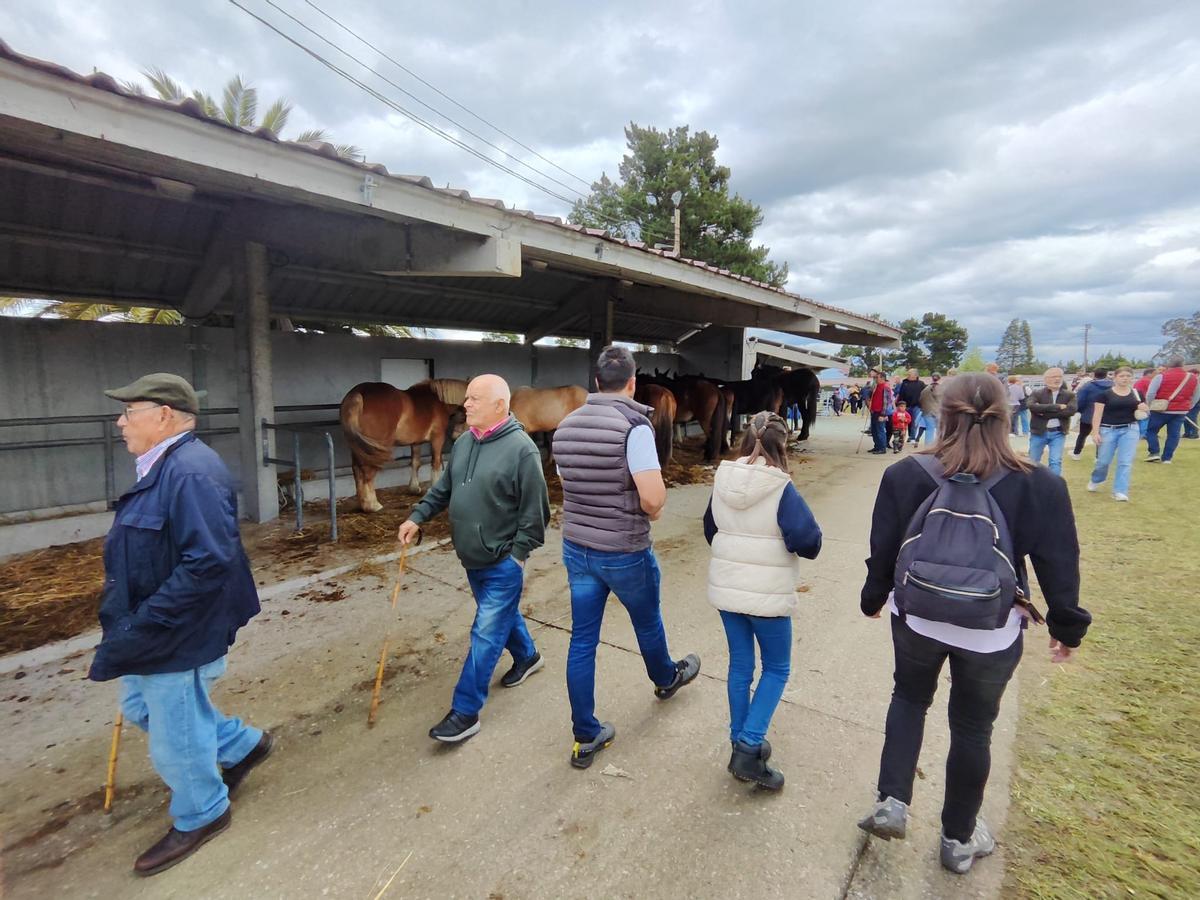 La feria de San Isidro, en imágenes