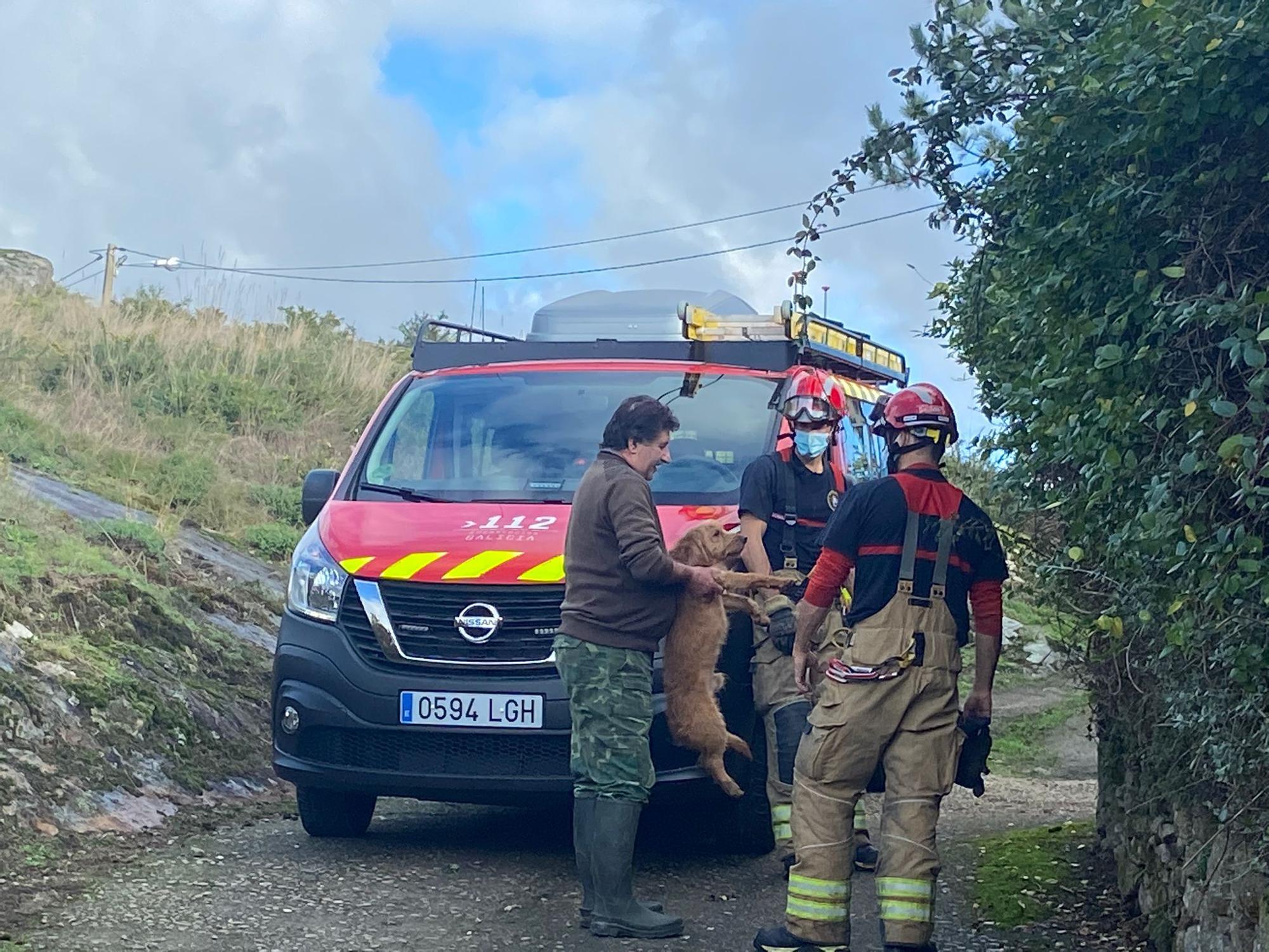 Así fue el rescate del perro atrapado dentro de un muro en Nigrán