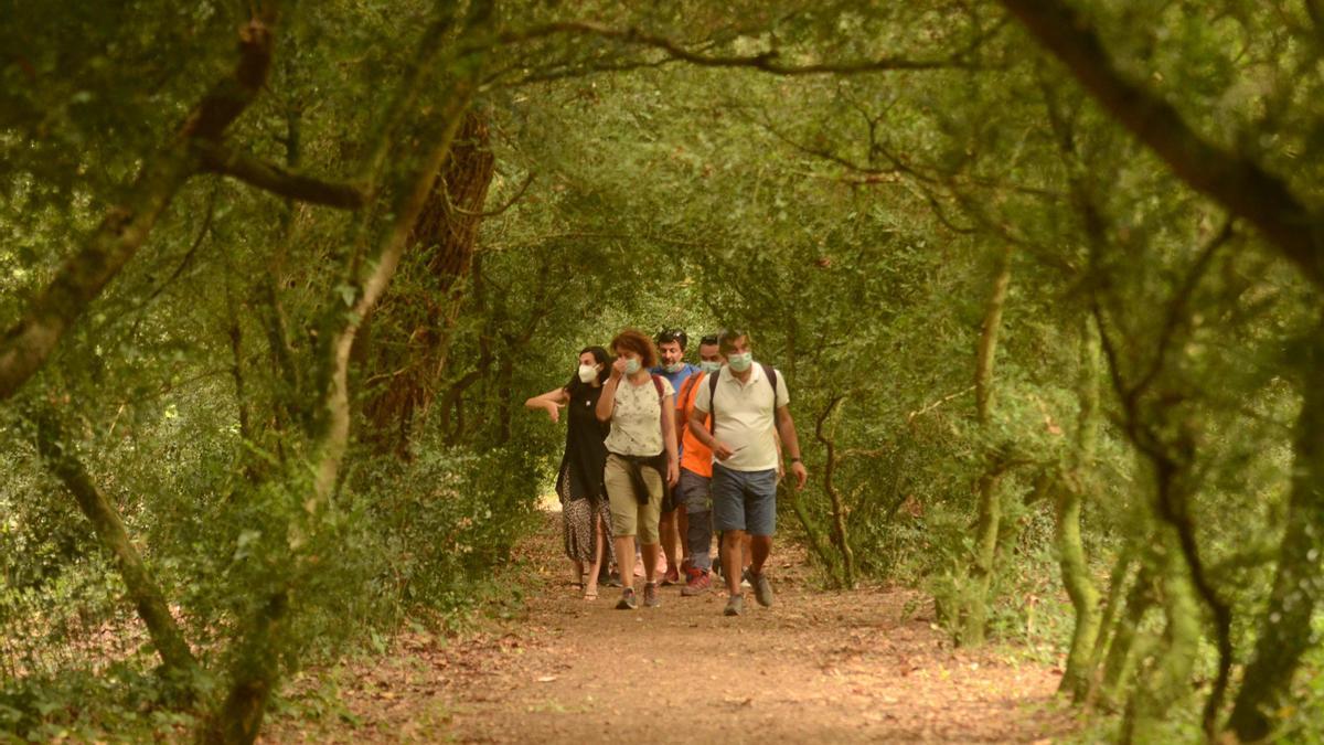 Un grupo de senderistas hacen una ruta por Cambados