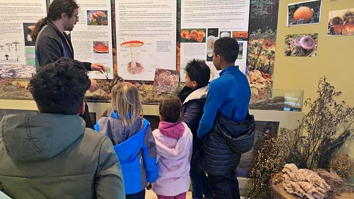 Visita guiada al Centro de Interpretación de las Especies Micológicas de Rabanales. | Chany Sebastián