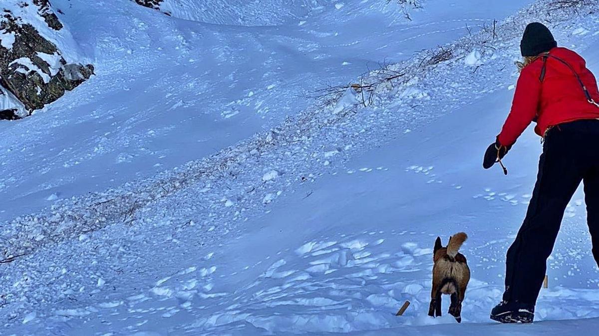 La presidenta de la Unidad Canina del Principado suelta un perro en la zona de la avalancha.